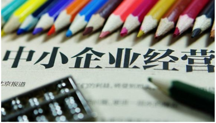 中小企業(yè)自有資金投資的特點與挑戰(zhàn)